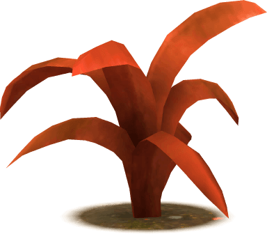 Grass